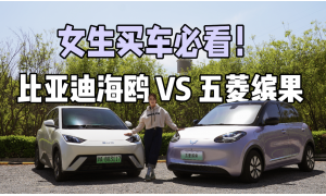 女生买车必看！五菱缤果与比亚迪海鸥深度对比，答案揭晓！